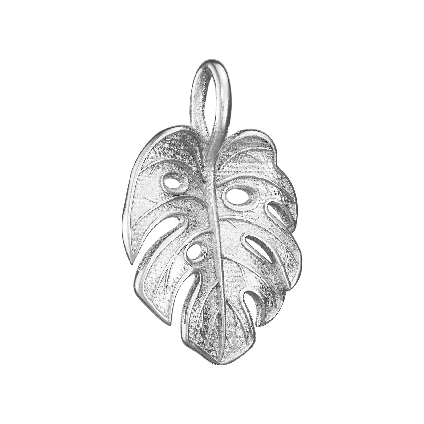 Подвеска Монстера